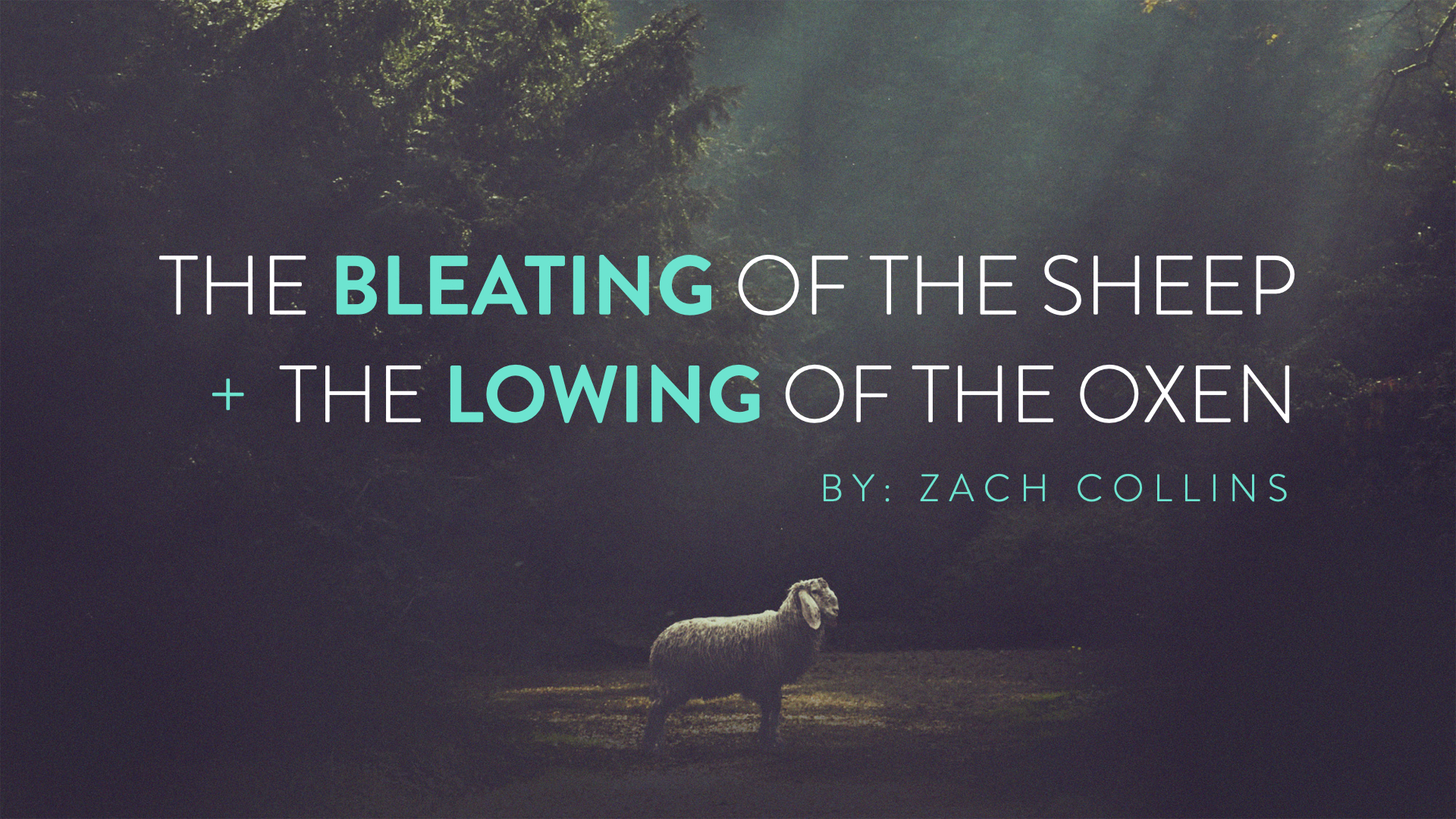 Featured image for “The Bleating of the Sheep and the Lowing of the Oxen”