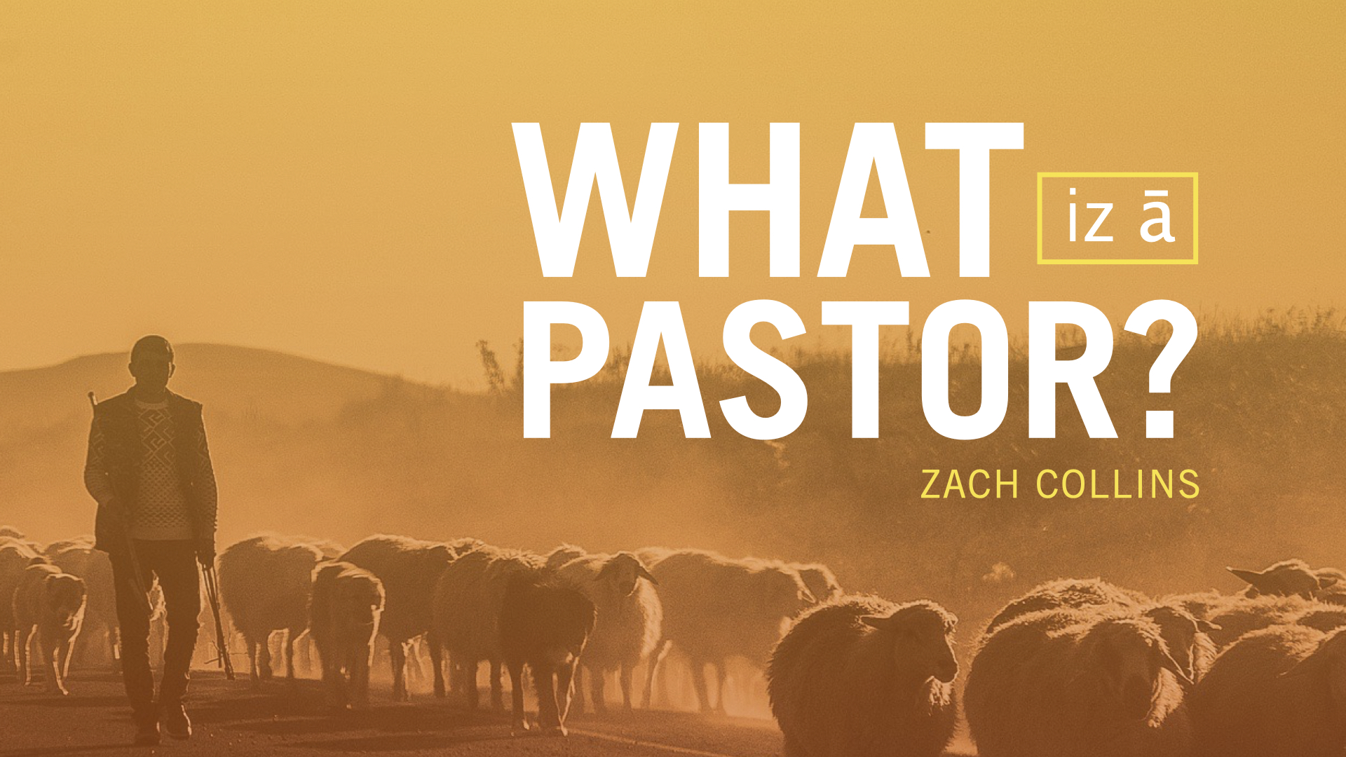 Featured image for “Article | What Is a Pastor?”