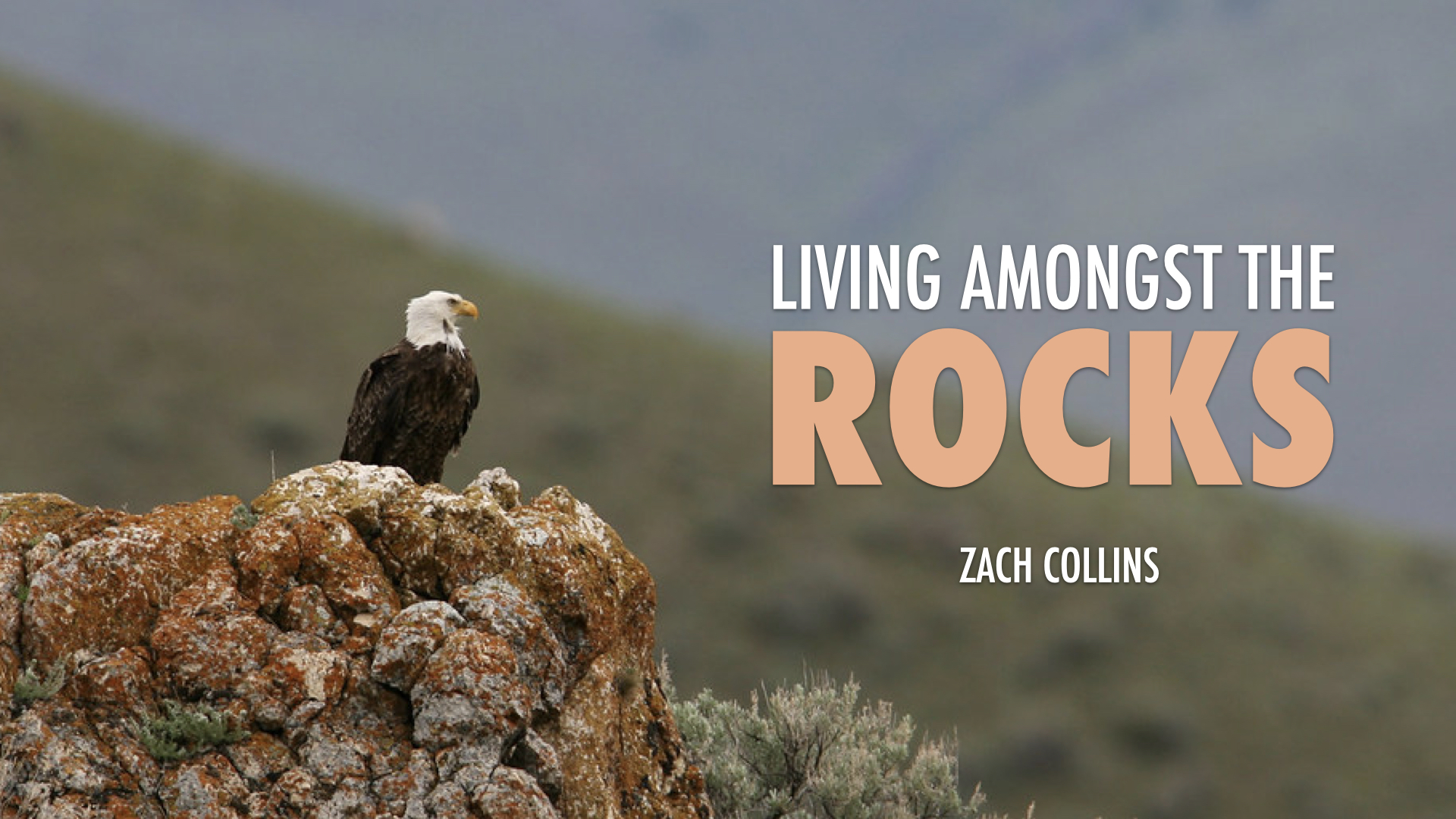 Featured image for “Living Amongst the Rocks”