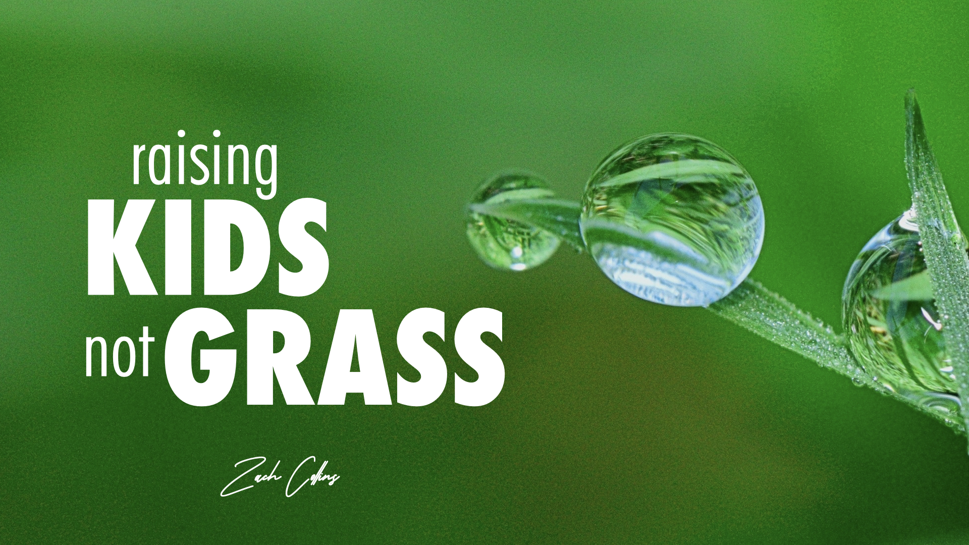 Featured image for “Article – Raising Kids, Not Grass”