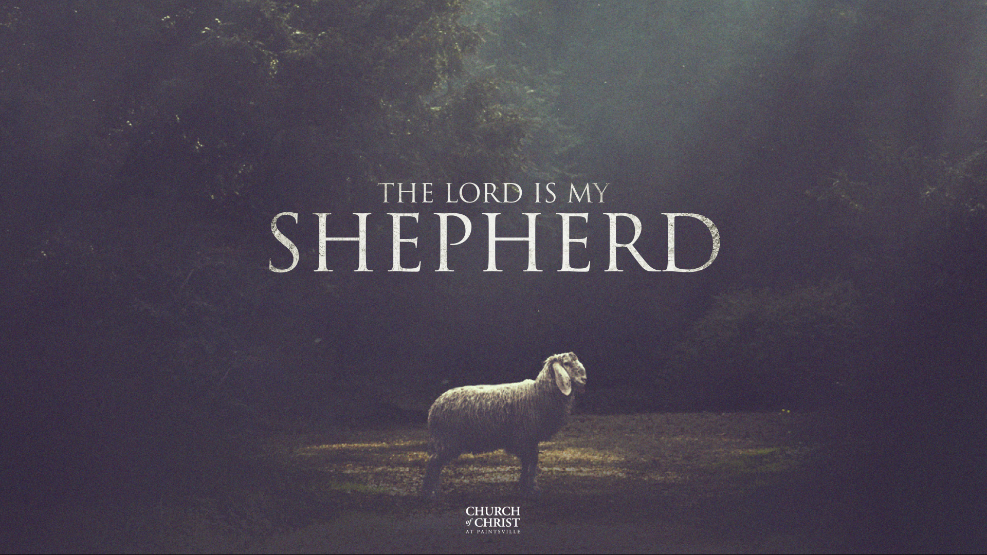 Featured image for “The Lord is My Shepherd”