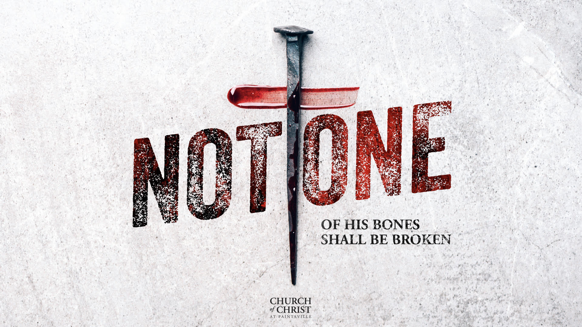 Featured image for “Not One of His Bones Shall Be Broken”