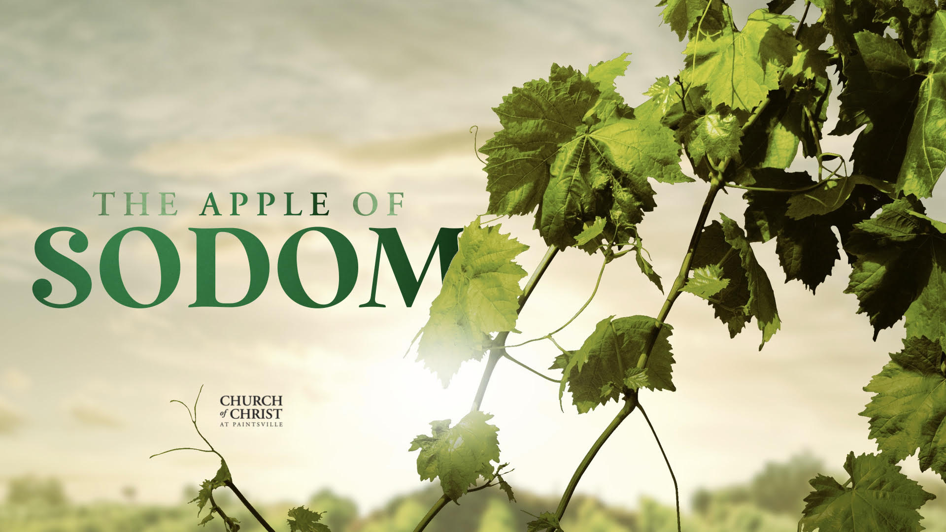 Featured image for “The Apple of Sodom”